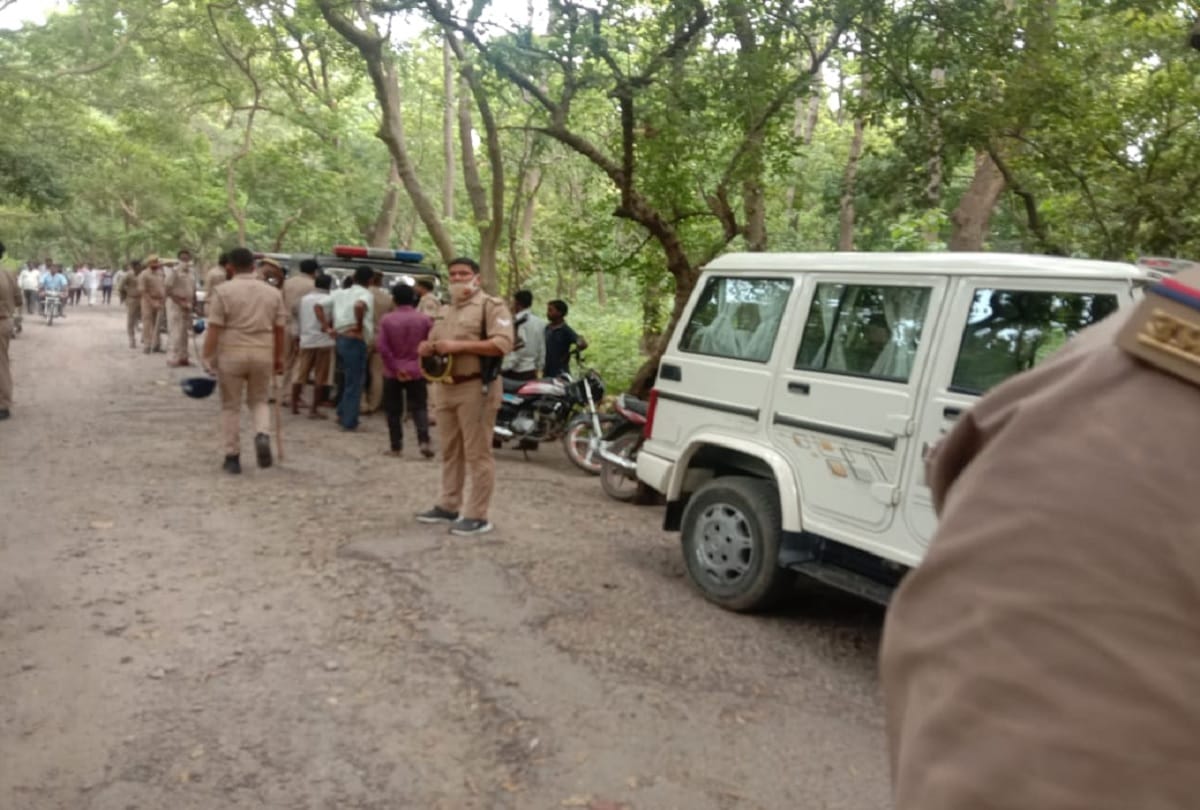 Two died in attack by tiger while one saves his life by climbing tree for whole night