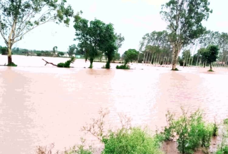 Sudden rise water level of Ujh River in Pathankot of Punjab