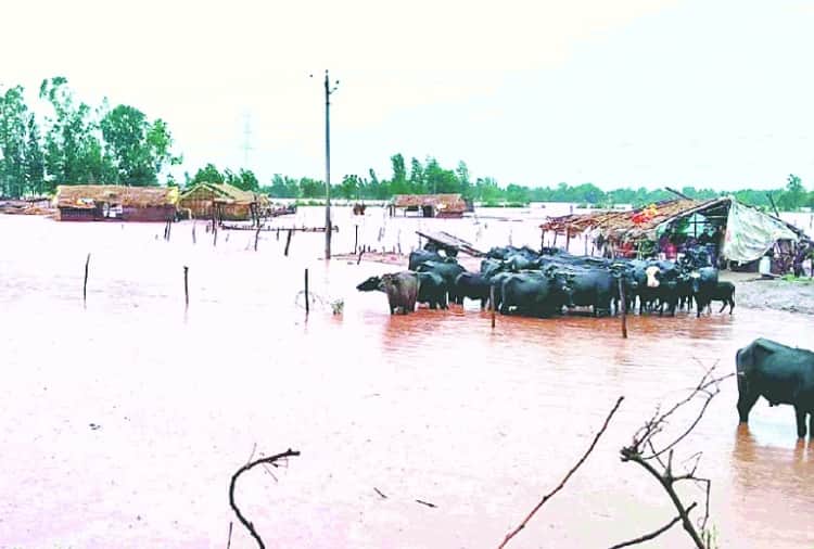 Sudden rise water level of Ujh River in Pathankot of Punjab