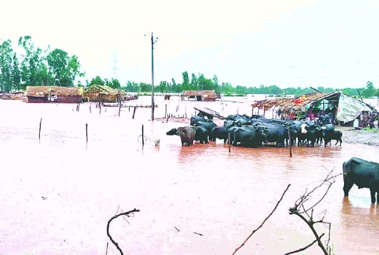Sudden rise water level of Ujh River in Pathankot of Punjab
