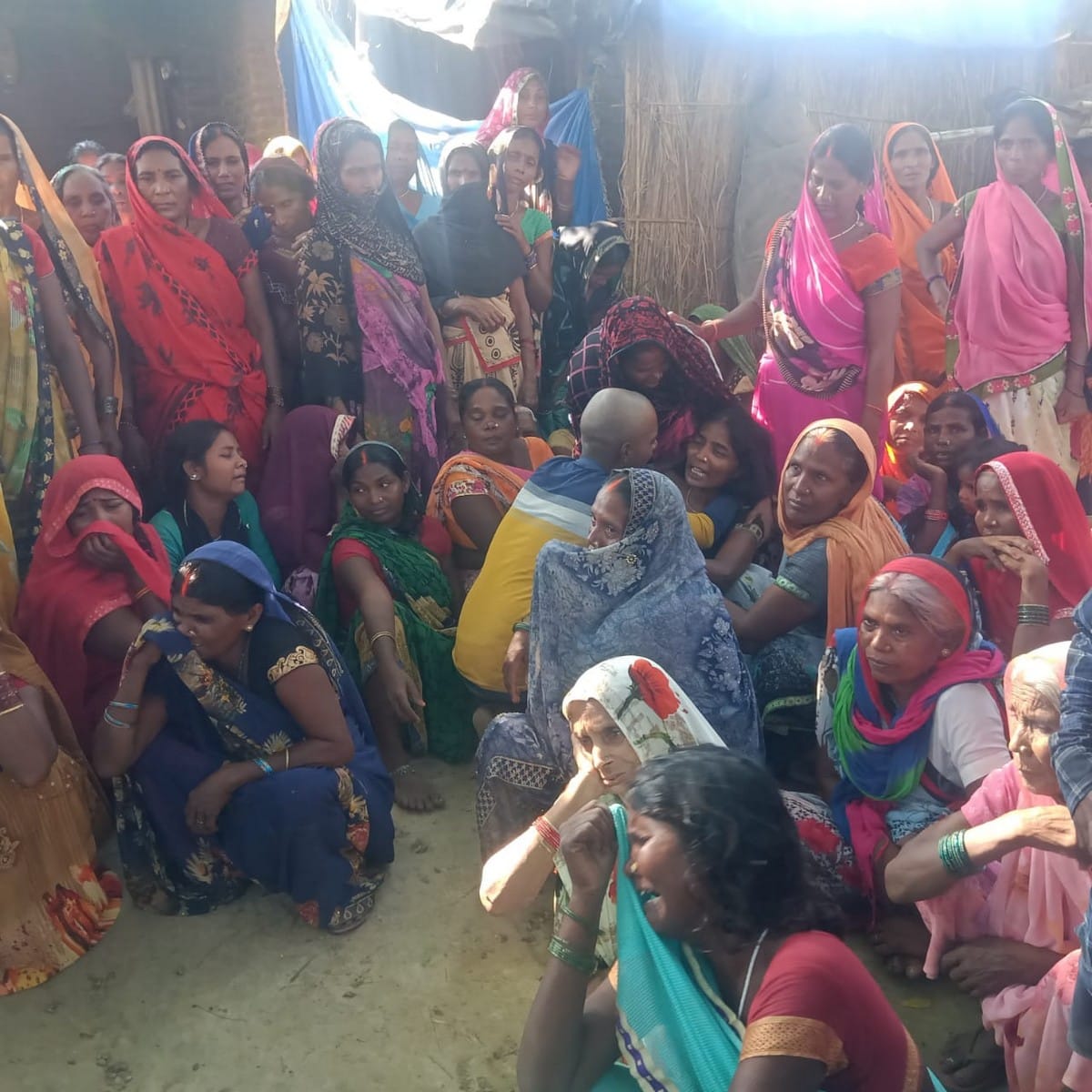 Farmer died by cobra snaked bites during crop maize in field in ghazipur