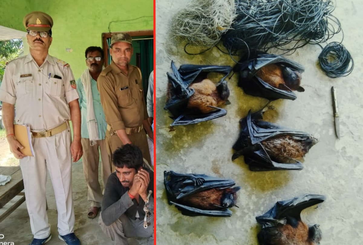 young man arrested with Gadur bird in maharajganj news