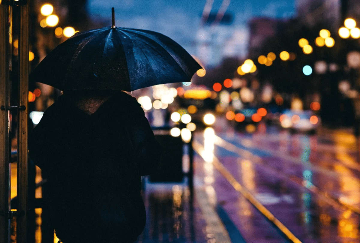 light pollution is affecting ecosystem and wildlife
