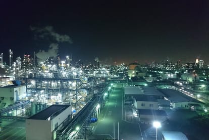light pollution is affecting ecosystem and wildlife