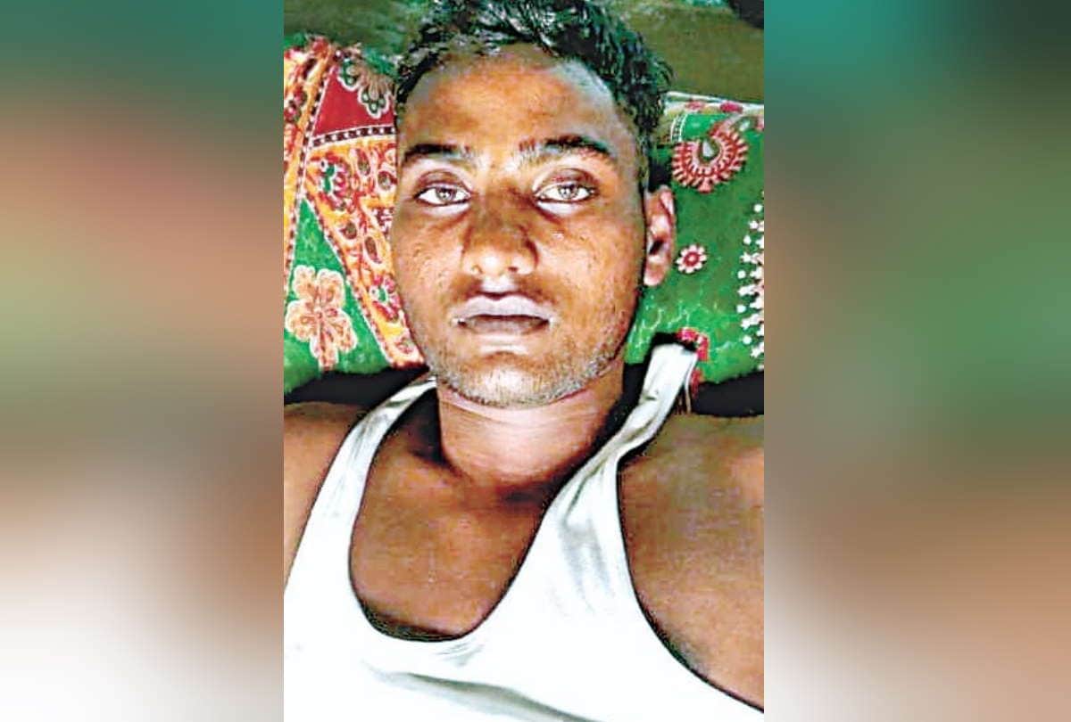 young man told story of terror tiger pawed me too can believe how I am alive