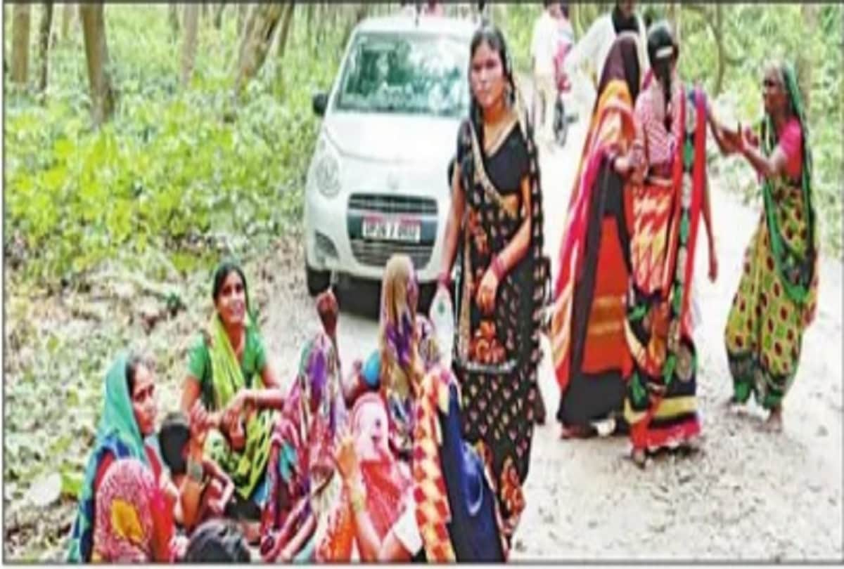 young man told story of terror tiger pawed me too can believe how I am alive