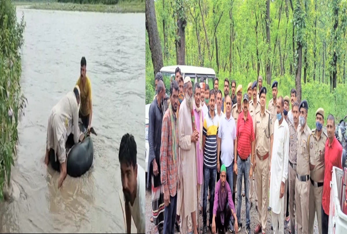 Sirmaur: 30 cattle including Gujjar family stranded on the island in the middle of the Giri river were rescued safely