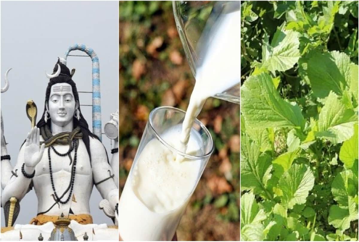 Sawan 2021 Why we should not eat green saag and drink milk in Sawan month
