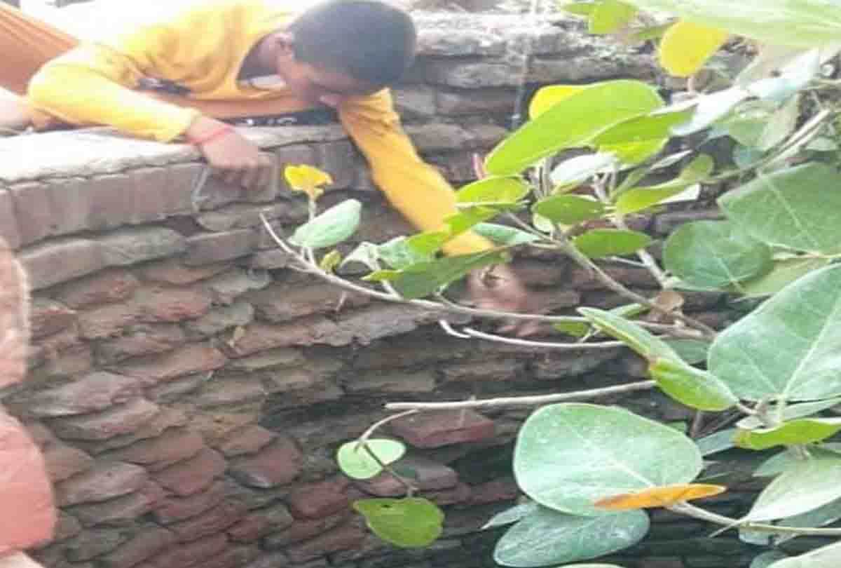 new currency notes coming out of ancient shiva temple well