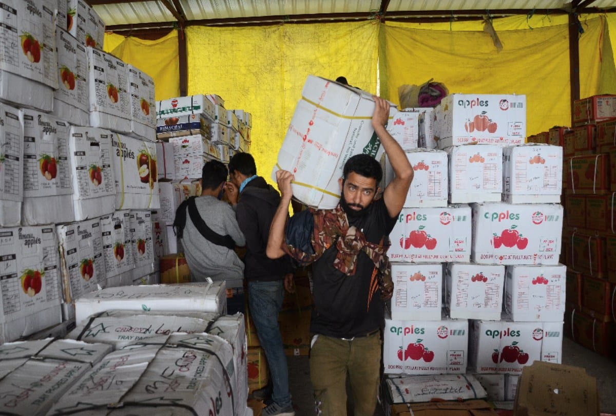 Himachal News: apple cold storage capacity will be increased in himachal Pradesh