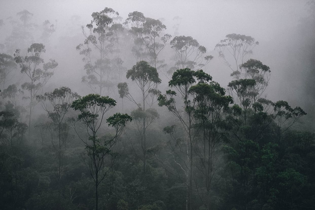 Monsoon in india and memories and life
