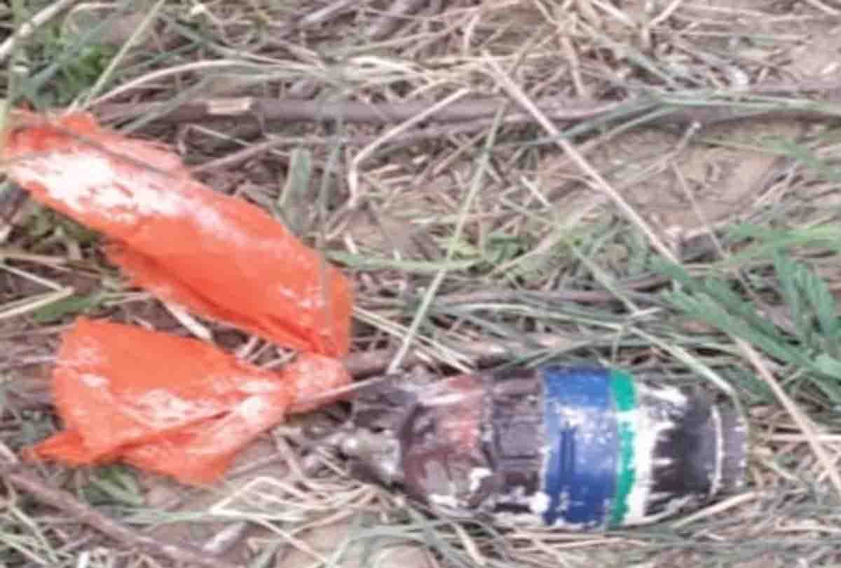 Hand grenade found in Pahuj River in jalaun