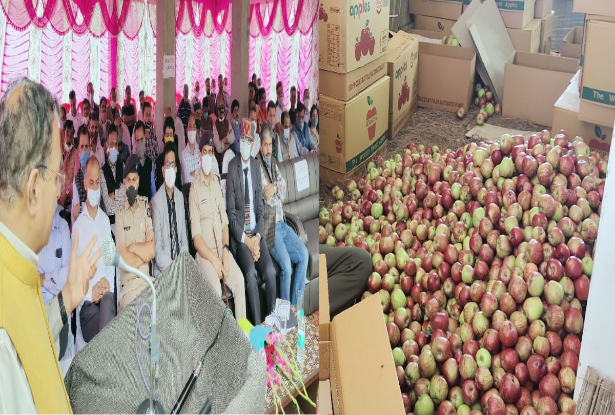 Apple season begins in Himachal, launch of crate and apple app