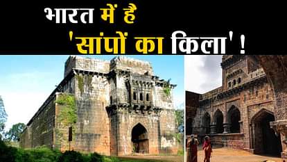 know about panhala fort maharashtra shivaji maharaj