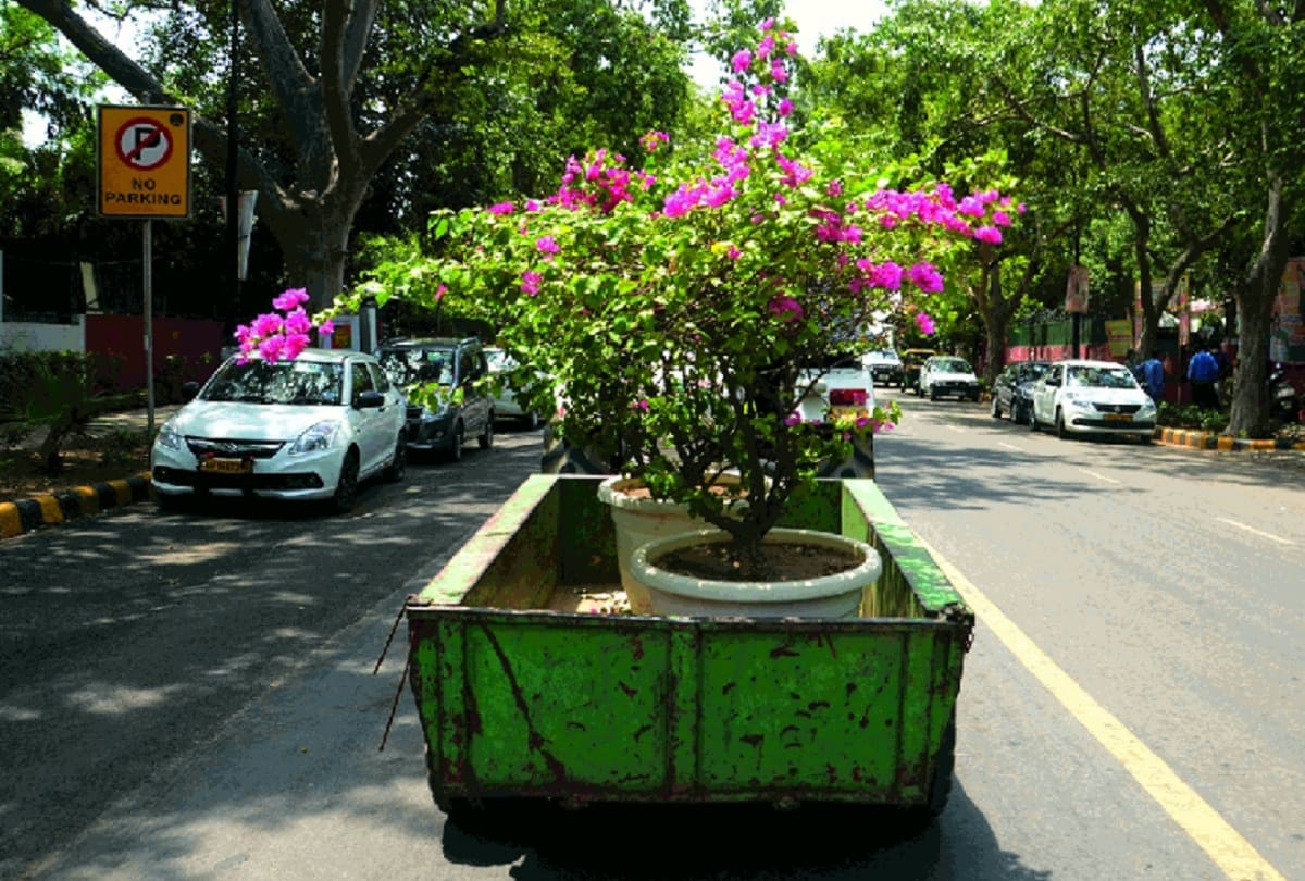 NDMC started clean environment campaign