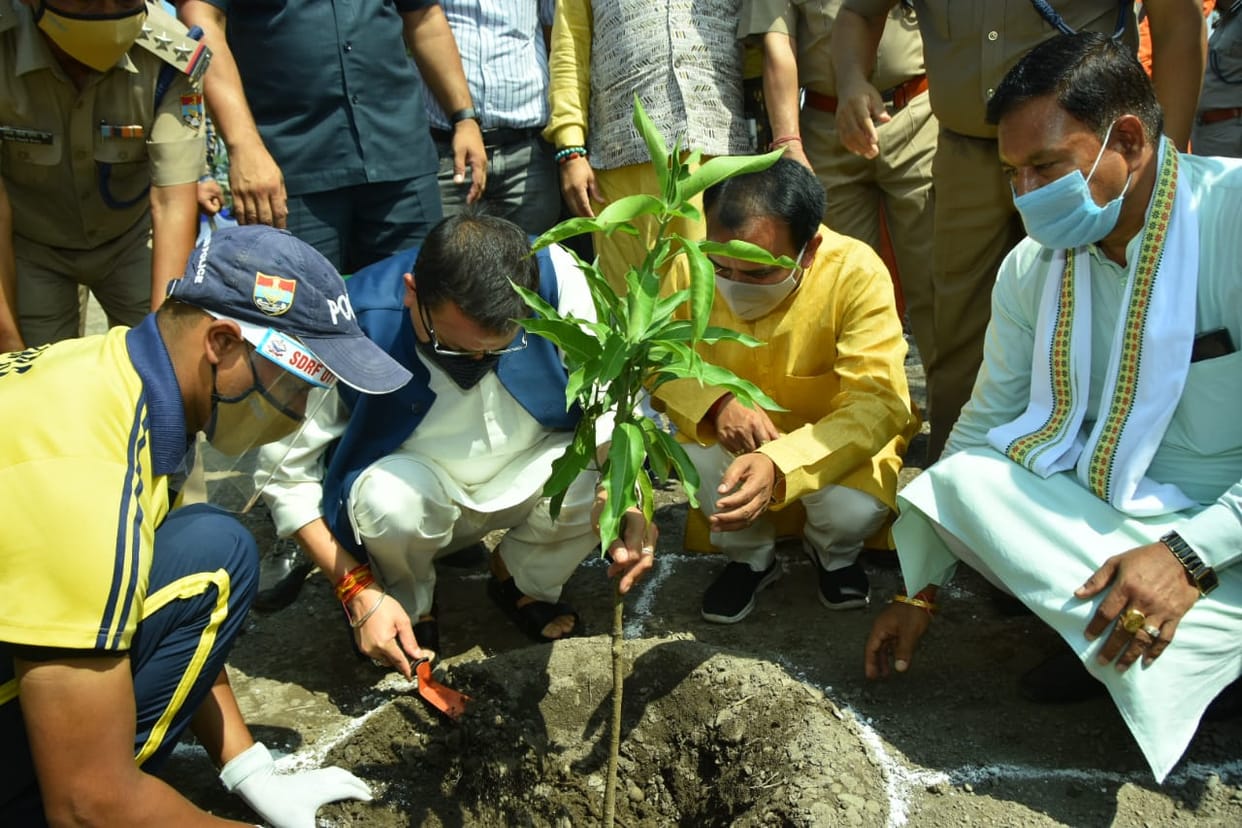 uttarakhand harela fest news: four lakh saplings planting target today