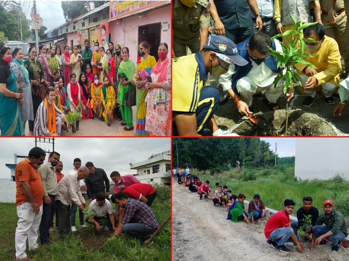 uttarakhand harela fest : cm and minister tree plantation for environment watch photos