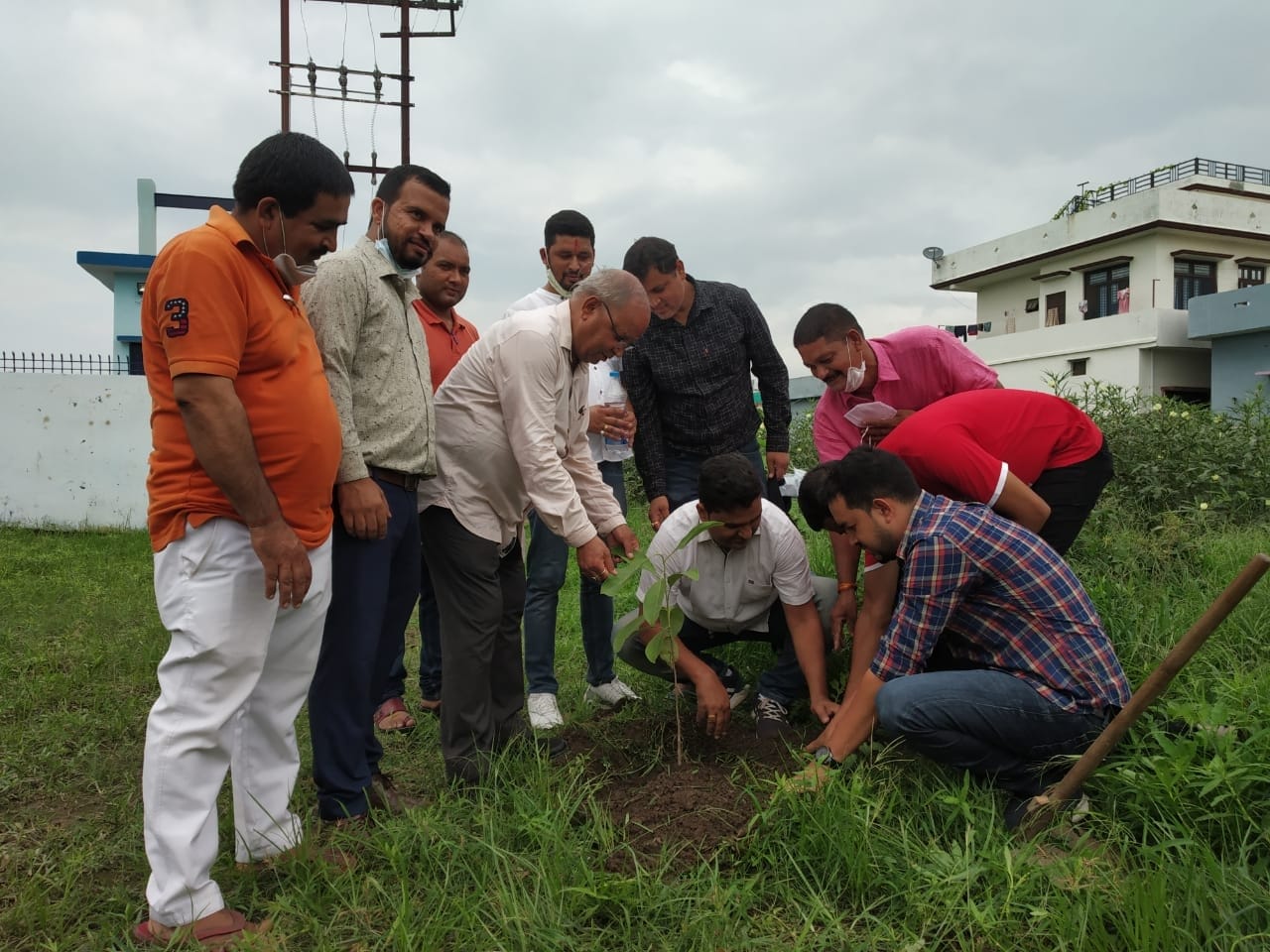 uttarakhand harela fest : cm and minister tree plantation for environment watch photos