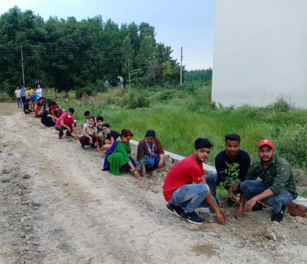 uttarakhand harela fest : cm and minister tree plantation for environment watch photos
