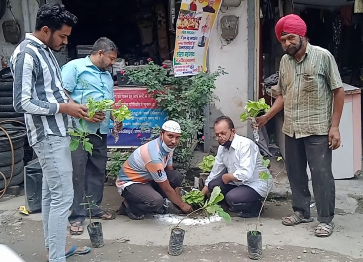 uttarakhand harela fest : cm and minister tree plantation for environment watch photos