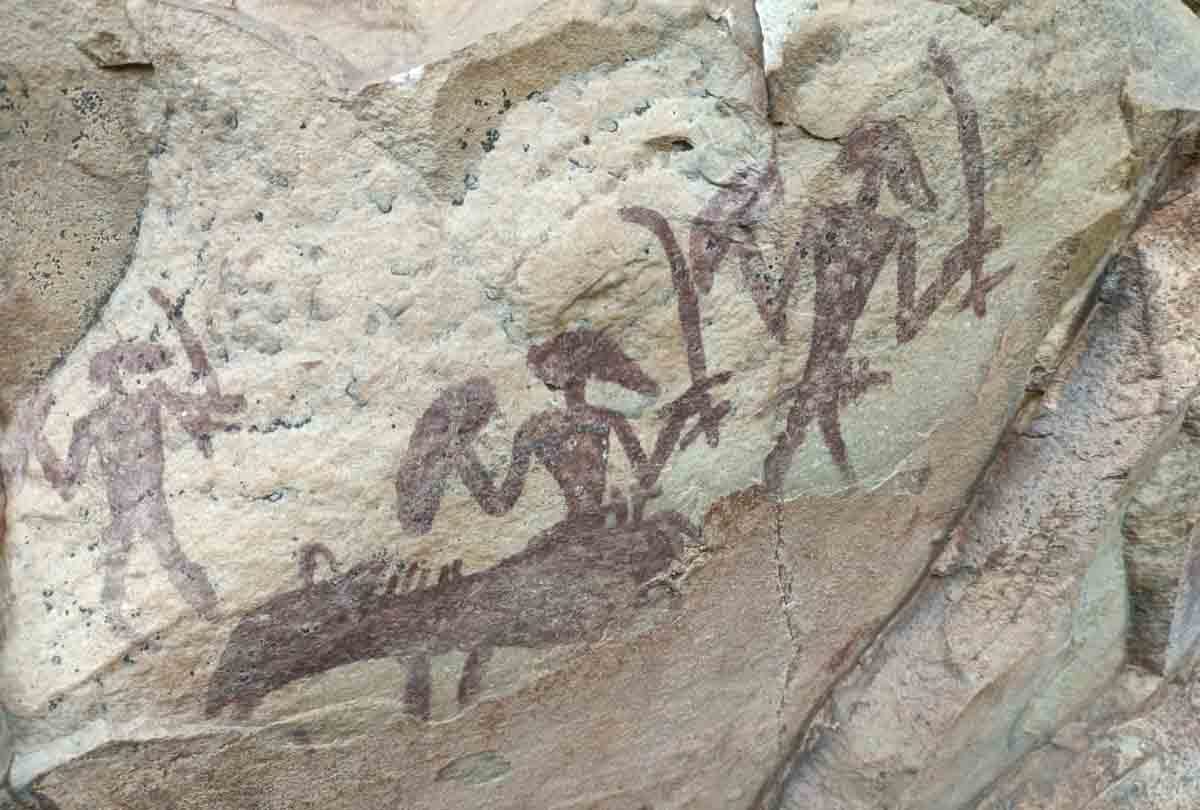 Bakswaha forest case: High court seeks response on rock paintings, MP High Court orders on PIL