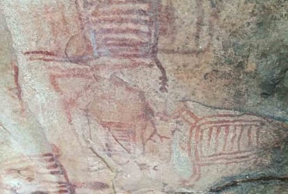 Bakswaha forest case: High court seeks response on rock paintings, MP High Court orders on PIL