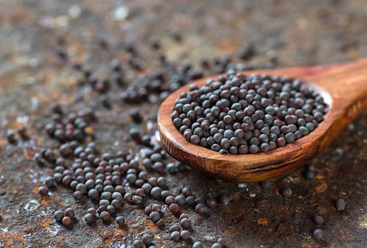 Health benefits of rye in hindi Raai ke fayde