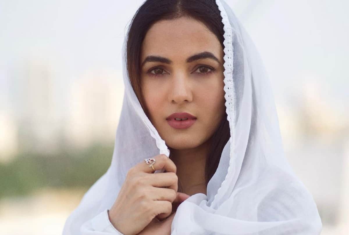 Sonal Chauhan Looks super hot in her Bikini Photoshoot fans go  crazy to see her beauty