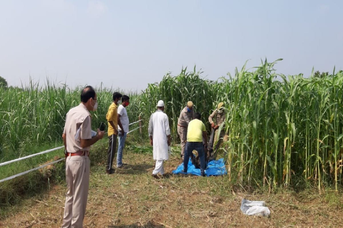 UP Crime News: Shahzad of Delhi was murdered in Baghpat and dead body found in forest of a village