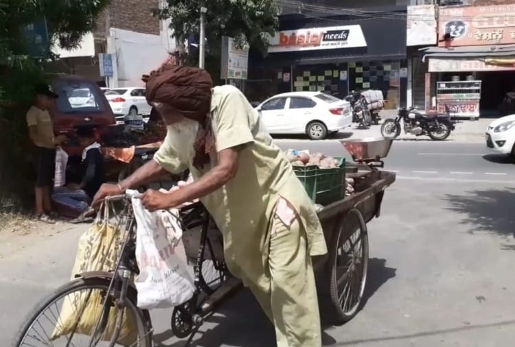 Punjab: Centenarian Harbans Singh of Moga earning livelihood by selling vegetables