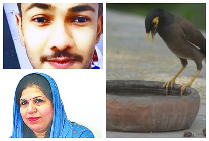 Agra People Serve Water and feed for birds animal in summer