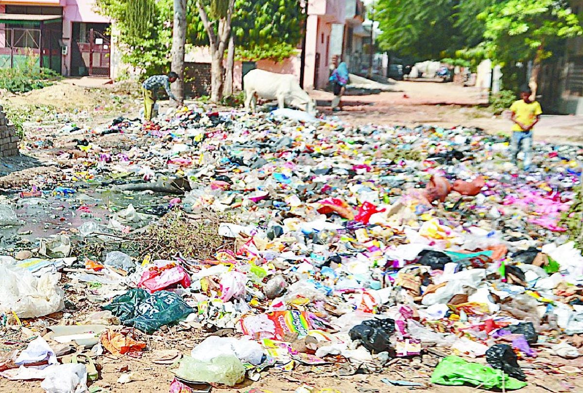 Reality Check Of Cleanliness In Agra Garbage Collection