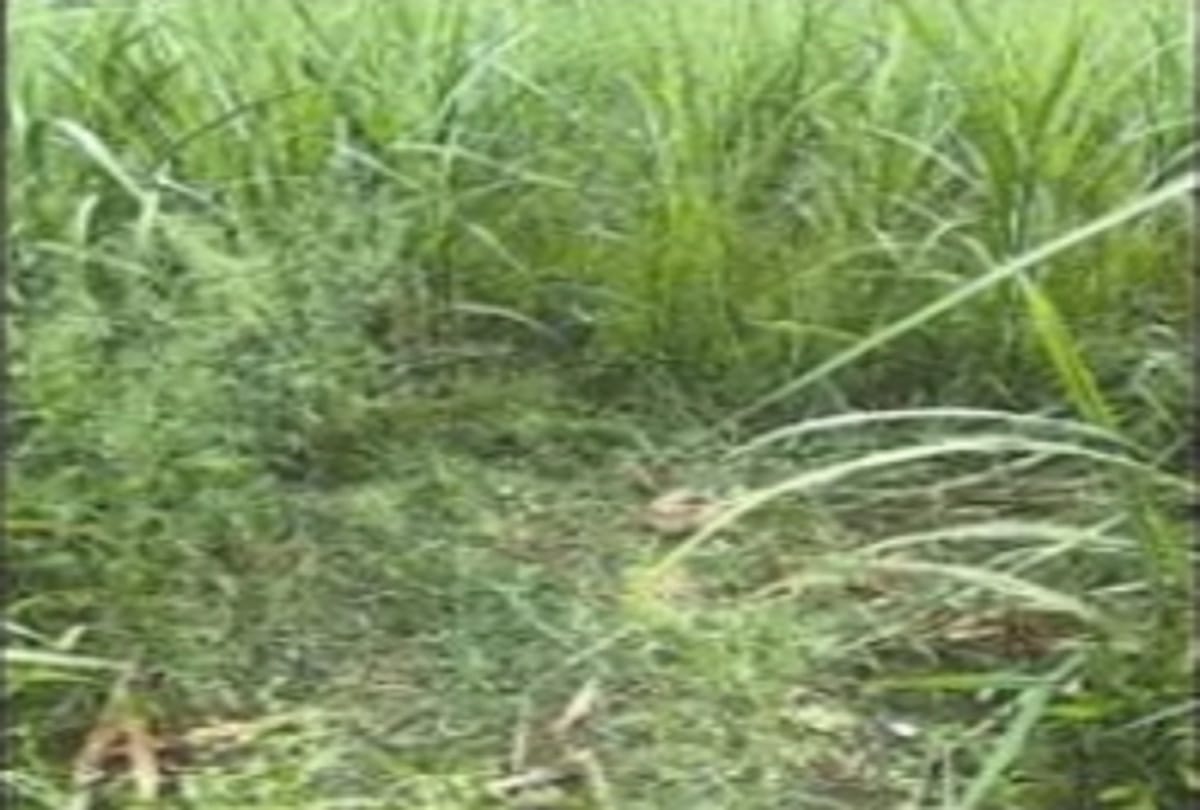 Woman murdered after rape in Bareilly He was drunk, scratch marks found on the whole body see photos