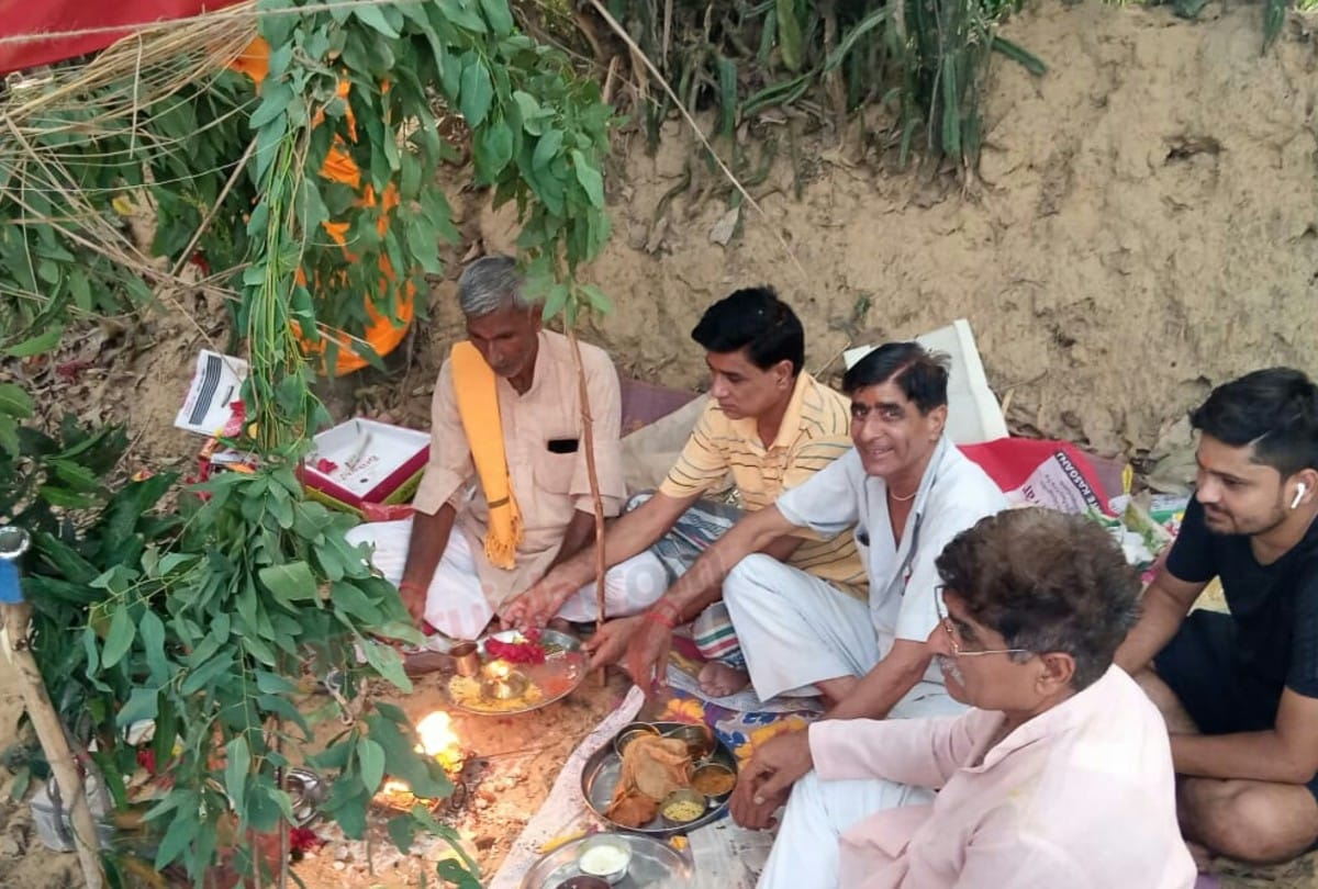 Unique marriage of mango and jamun trees in Kasganj