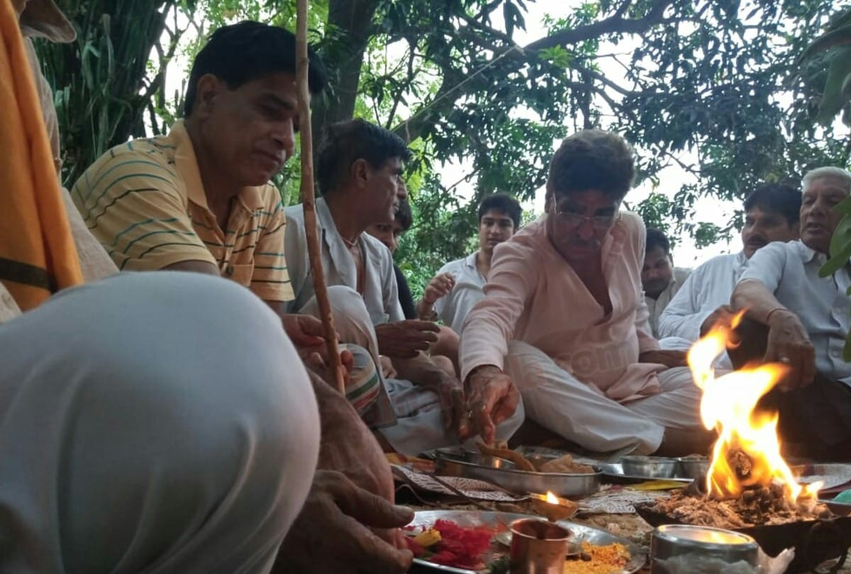 Unique marriage of mango and jamun trees in Kasganj