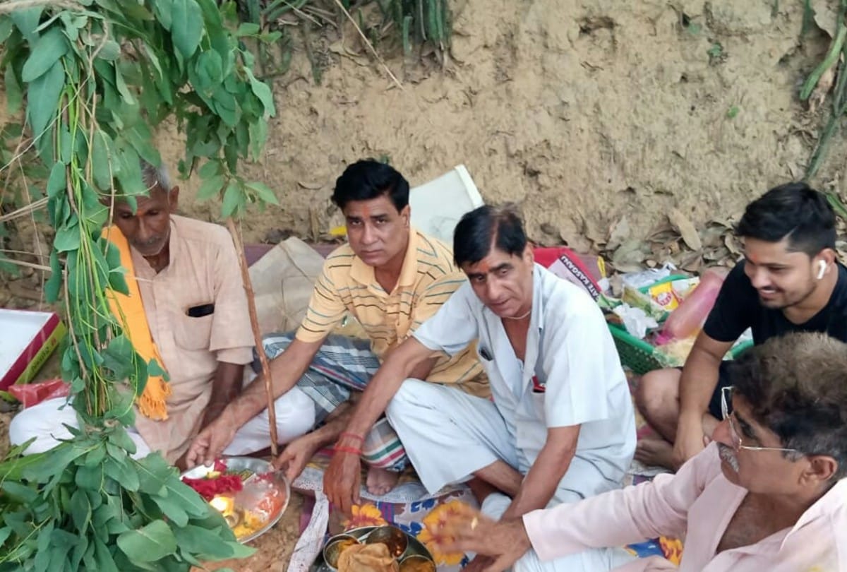 Unique marriage of mango and jamun trees in Kasganj