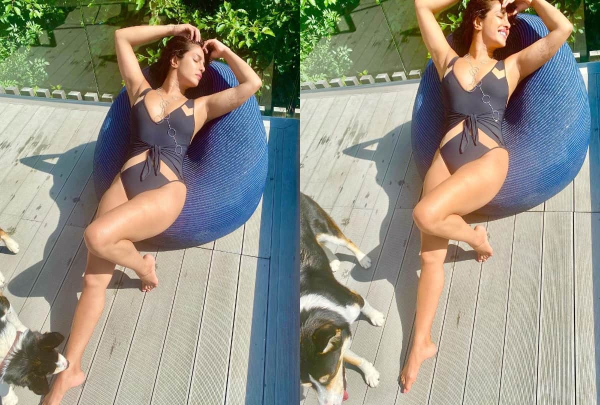 Priyanka Chopra Birthday Nick Jonas Gift An Expensive Bottle Of Wine To Wife Price Leave You Shocked