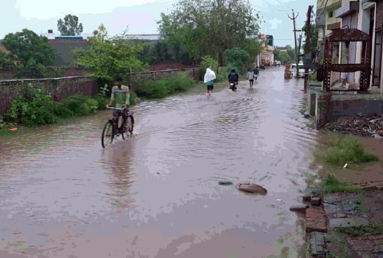 Haryana Weather update: Weather Department issued orange alert for 8 districts of Haryana after Heavy Rain