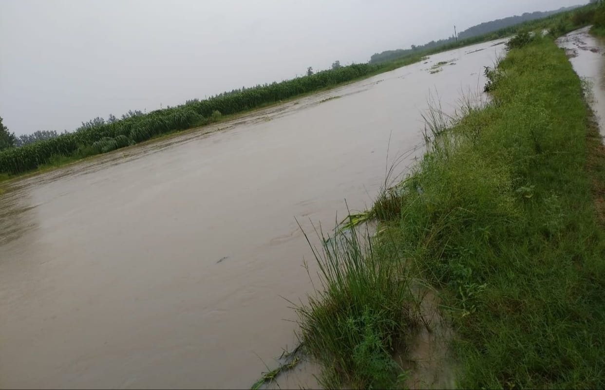 Solani river in spate due to water from Uttarakhand