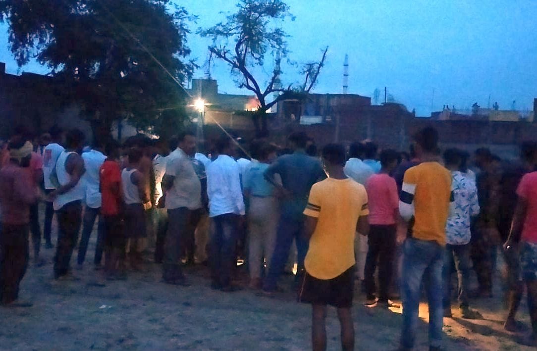 hardoi,wild animal,tendua,hardoi news