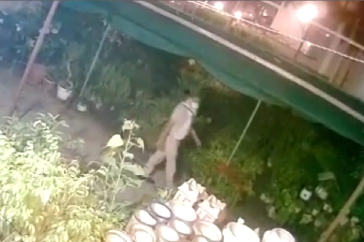 Saharanpur News: Stolen pots from khaki uniformed nursery