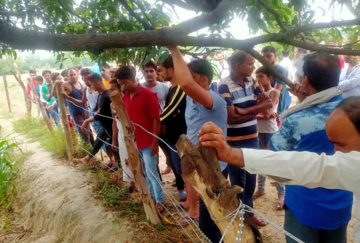 Hardoi: Elder brother of shopkeeper injured in leopard attack hanged, dead body found hanging in garden