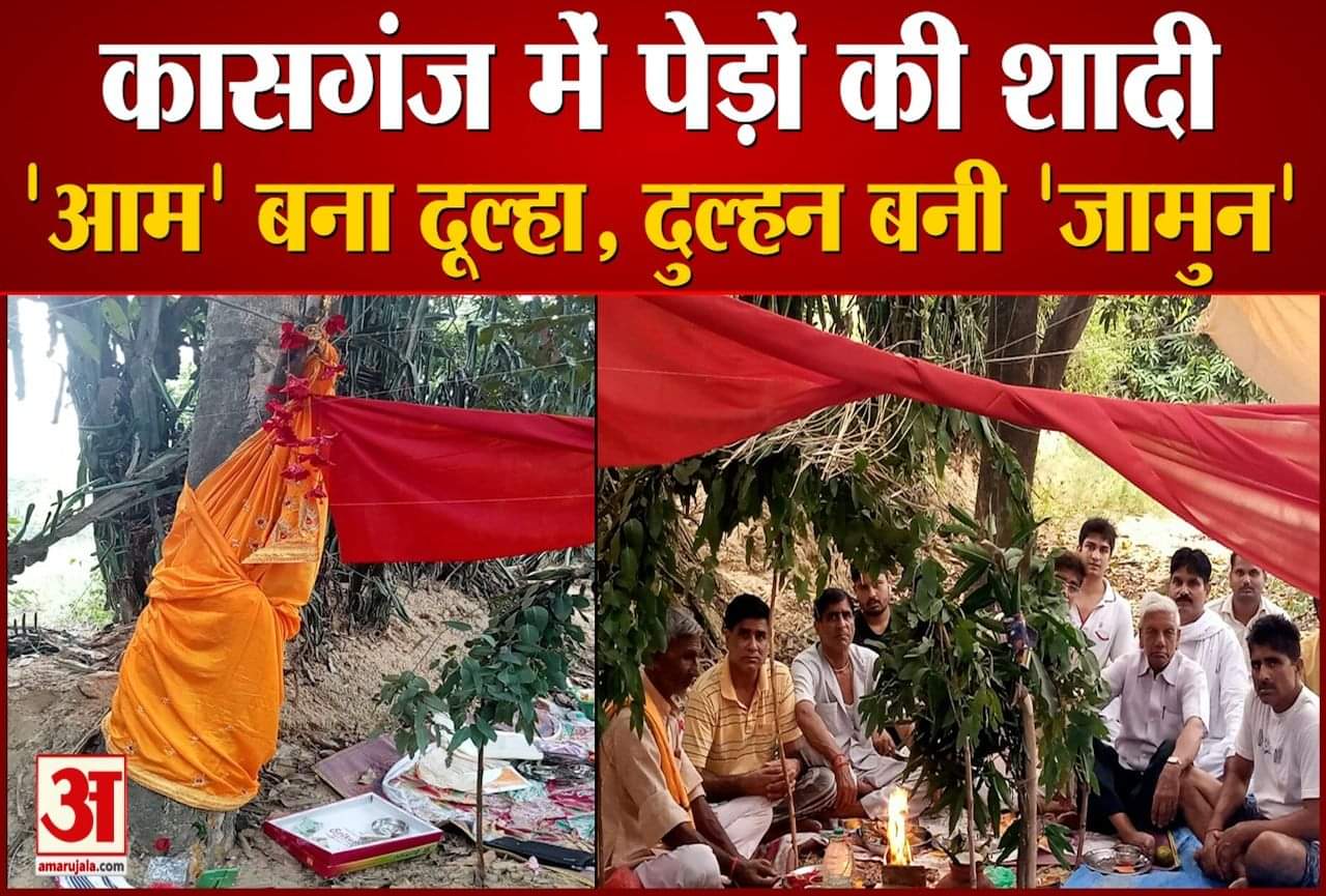 कासगंज में पेड़ों की शादी