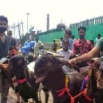 जामा मस्जिद बकरा बाजार