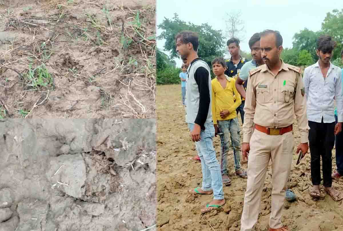 Hardoi: forest inspector confirmed the footprint of the leopard