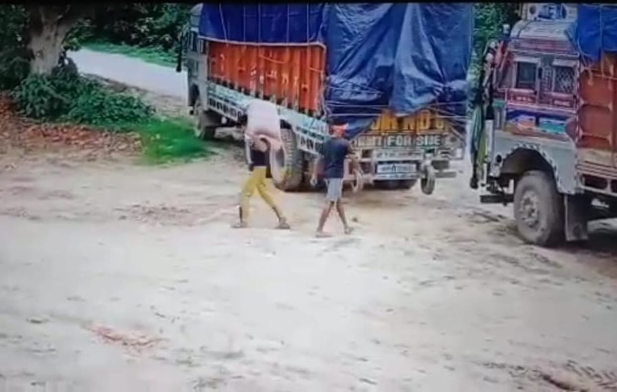 800 bags of grain are being stolen every month