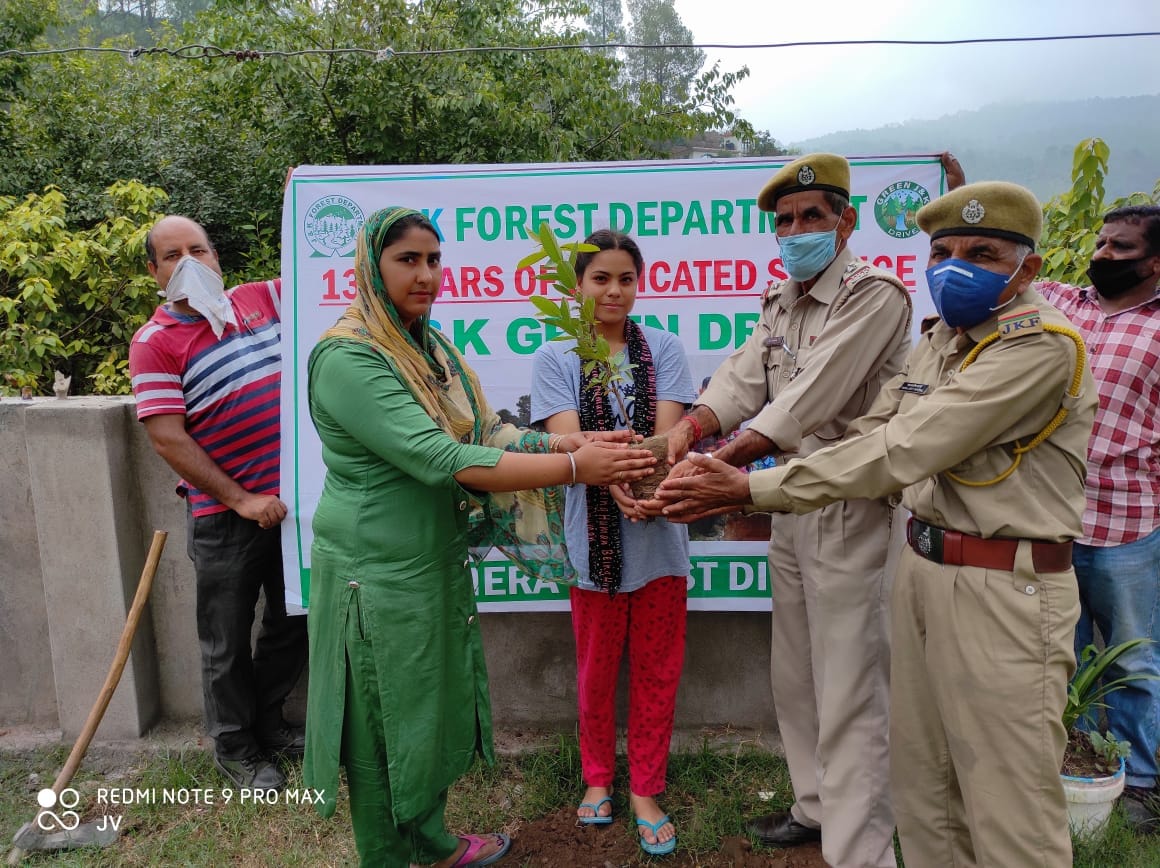 Plantation drive