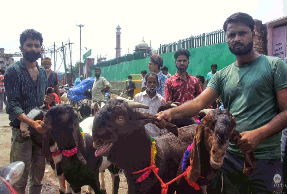 delhi goat market decorated on bakrid sultan remains the center of attraction naturally written Kalma