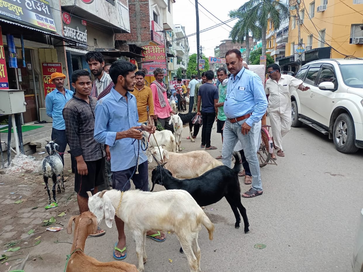 Goat sold for 56 thousand for sacrifice in ballia