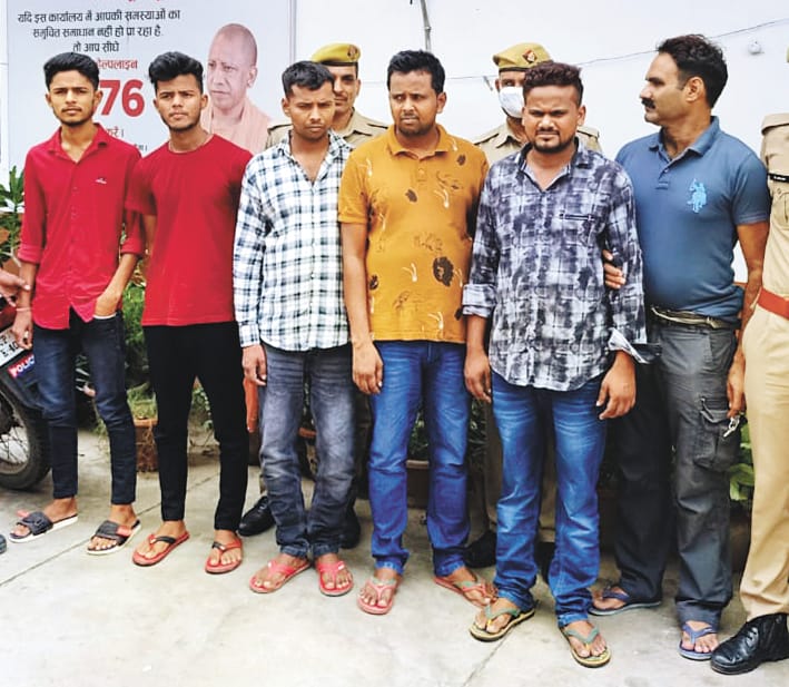 Cyber fraudster arrested